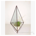 Quadratischer Pflanzkasten im Terrarium-Stil aus Glas